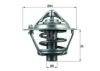 MAHLE ORIGINAL TX 113 82D Thermostat, coolant